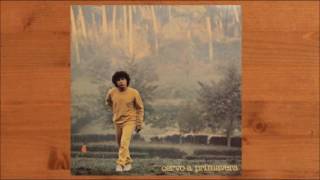 Cervo a primavera - Riccardo Cocciante