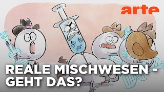 Kann man Gene zwischen Mensch und Tier austauschen? | Wer nicht fragt, stirbt dumm Reupload | ARTE