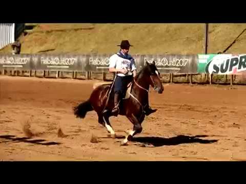 4º Lugar Fêmeas - Butiá Zagaia / Classificatória de Chapecó/SC - 2017