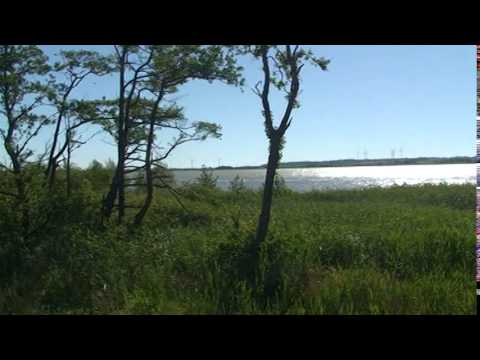 Wideo - Jezioro Bukowo - YouTube