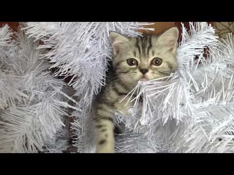 Happy Birthday Olivka!