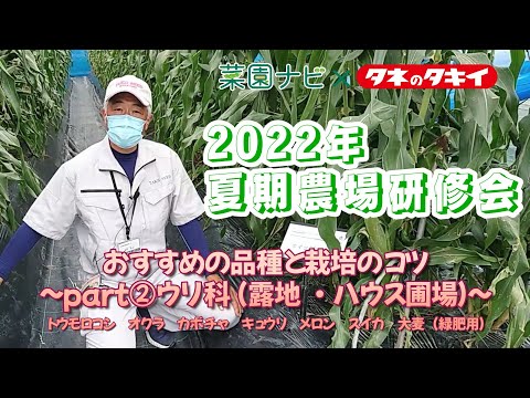 , title : '2022年夏期農場研修会　part②ウリ科ほか（露地・ハウス圃場）'
