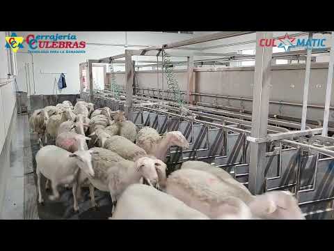 Amarre Ordeño Hipódromo INOX 2x36