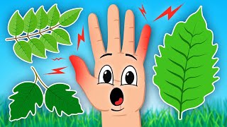 Discover The Top 3 Plants To Stay Away From! | Original Song For Kids | KLT
