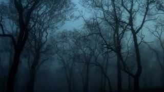 Loreena McKennitt- The Dark Night of the Soul