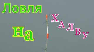 Халва как прикормка для рыбы