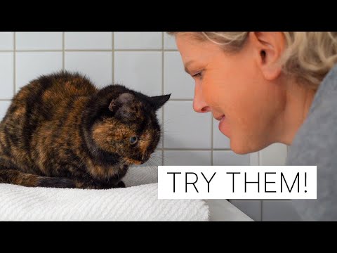 10가지 간단한 습관으로 더 나은 삶을 살아보세요