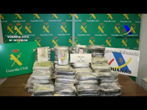 TOSEINA SQUAD x ILÉGAL ~ CAMBIAME