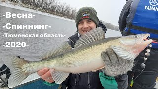 Где поймать щуку в тюмени 2020