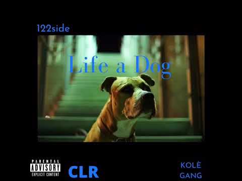 Dunzy x Marcuss possible x S#L# - Life a Dog (Kolè Gang) #FreeDunzy