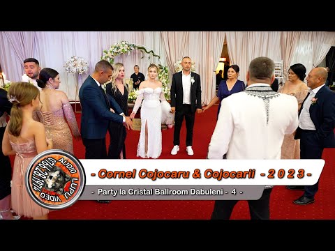 Cornel Cojocaru & Orchestra Cojocarii - 4 - Party la Cristal Ballroom Dabuleni