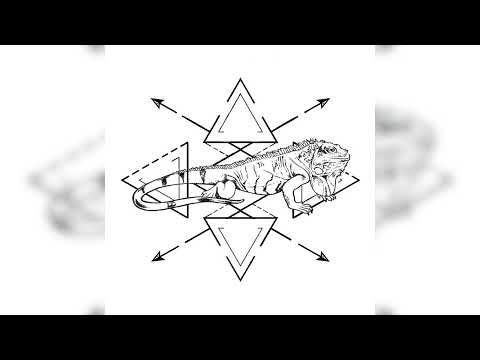 Beats Antique - "Night Forest" (Official Audio)