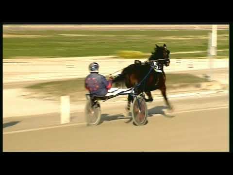 Trotto 09/02/2020 - 4ª corsa