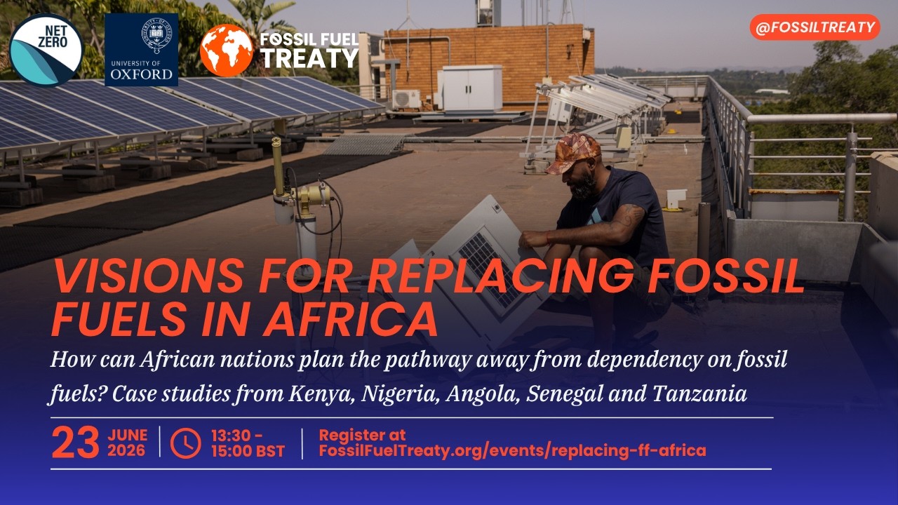 Visions for Replacing Fossil Fuels in Africa