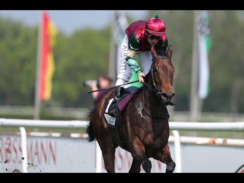 Hannover_Großer Preis von Hannover 96 2019 (L) - Siegerin:Amorella