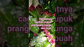 Download lagu surprised to see the results. mp3