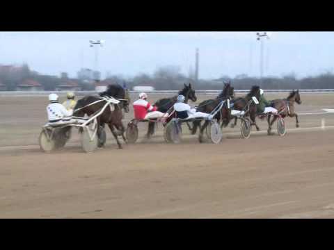 2017.02.11. 6. futam - BETOLAKODÓ DÍJ