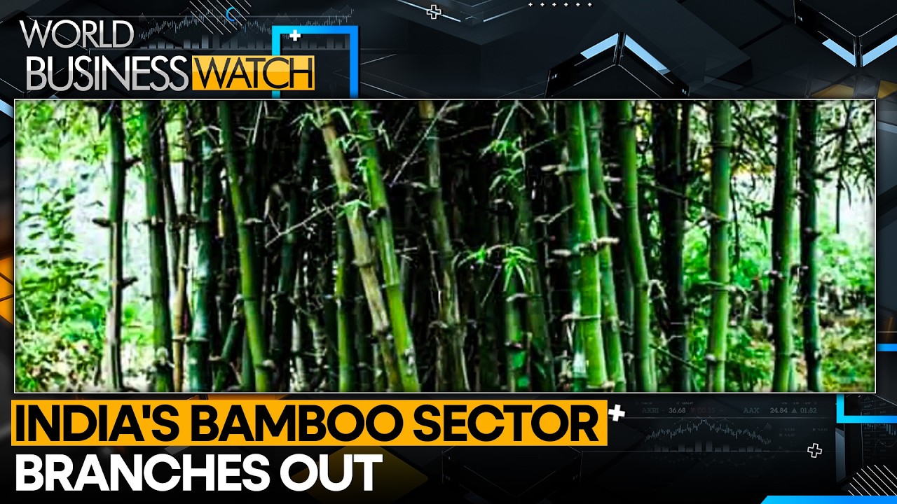 ADB Approves $42.2m Loan for India's Bamboo Sector | World Business Watch