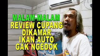 Download lagu MALAM MALAM REVIEW IKAN DIDALAM KAMAR -IKAN OUTO GAK NGEDOK???? wkwkwkkwkwkkw mp3