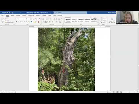 Meeting thumbnail