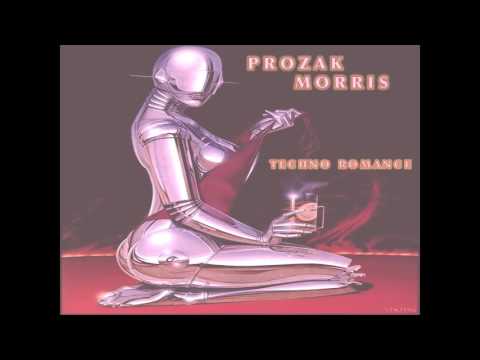 Prozak Morris- Techno Romance