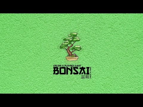 Valdir & Playboi Zuka - Bonsai (Audio)
