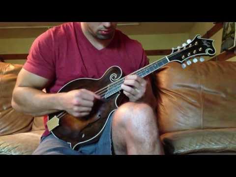 Voight F-Stlye mandolin #10