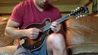 Voight F-Stlye mandolin #10