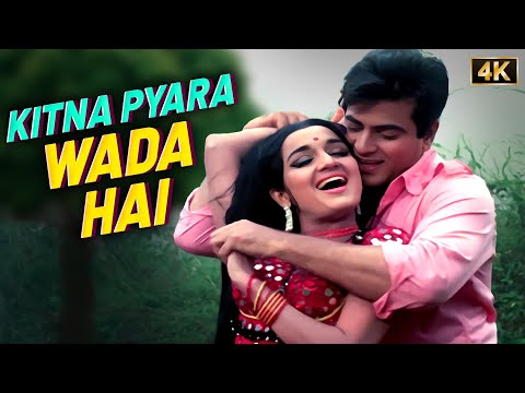 Kitna Pyara Wada Hai – Lata Mangeshkar & Mohammed Rafi’s Timeless Romantic Duet | Jeetendra & Asha