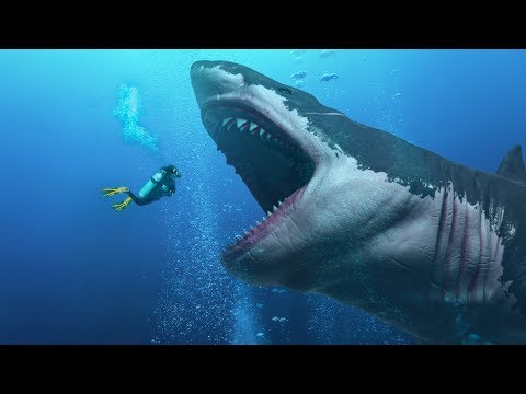Haben sie einen lebenden Megalodon im Marianengraben gefunden?