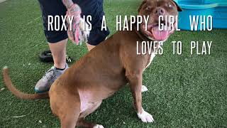 Roxy A121671 Roxy A121671
