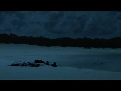 Ziggy Alberts feat. Donovan Woods - THE SUN & THE SEA (Teaser)