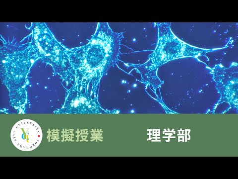 横浜市立大学 ONLINE オープンキャンパス 2022 | 模擬授業 | 理学部：タンパク質のたった一つのアミノ酸残基の置換が神経の病気を引き起こすメカニズムについて