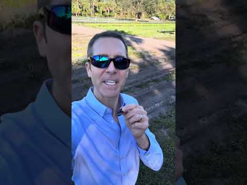 Play Video Youtube Video