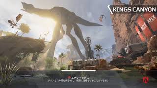 初心者のAPEX