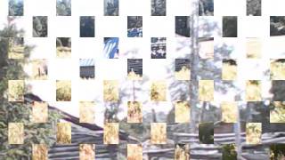 Cuatro milpas- Los Alegres de Terán