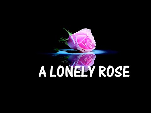 A LONELY ROSE by The Brothers Four  with LYRICS