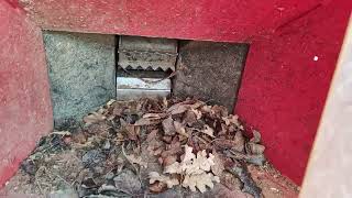 ماكينة تقطيع الأغصان FSI TP 175 MOBILE | صورة 4 - Agroline