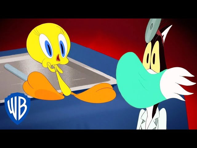 Vídeo relacionado con Looney Tunes Tweety (Piolín) Trouble-Bolso IBiscuit, Amarillo, 21 x 15.5 cm