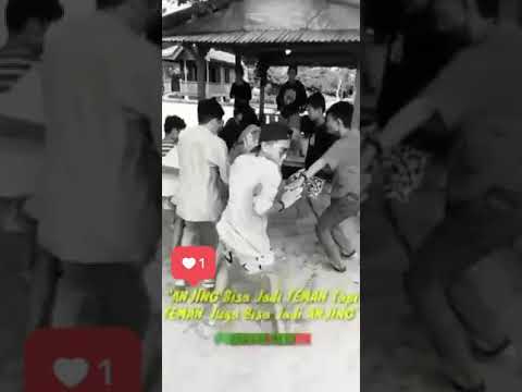 Universitas toli toli