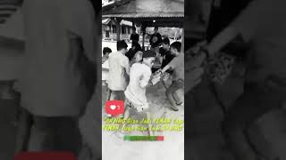 Download lagu Universitas toli toli mp3