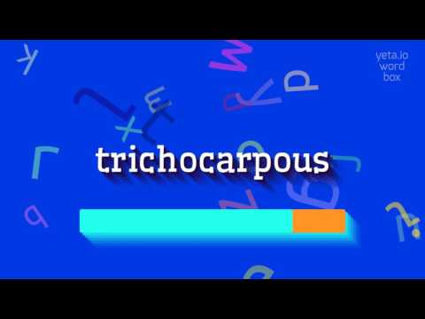 TRICHOCARPOUS - HOW TO PRONOUNCE IT?