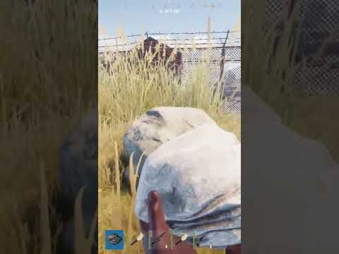 Professional grub😎