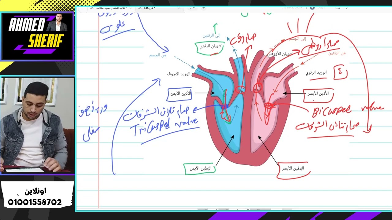 صمامات القلب واصوات القلب