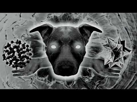 DENIJS X ACHH - 1 PLUS 1