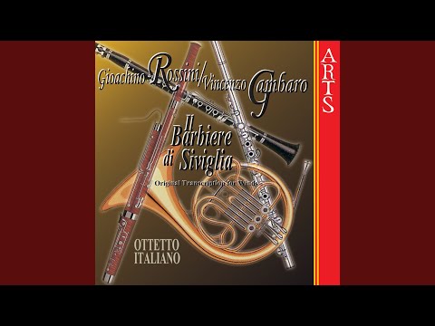 "Numero Quindici A Mano Manca"