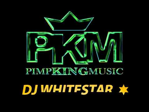 DJ WHITESTAR   The Social Duck Infect.wmv