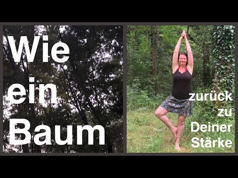 Baum Vrksasana Varianten | Medial Yoga