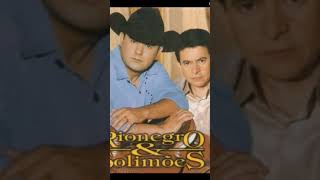 Download lagu Rionegro & Solimões - Ela não veio (1999) mp3