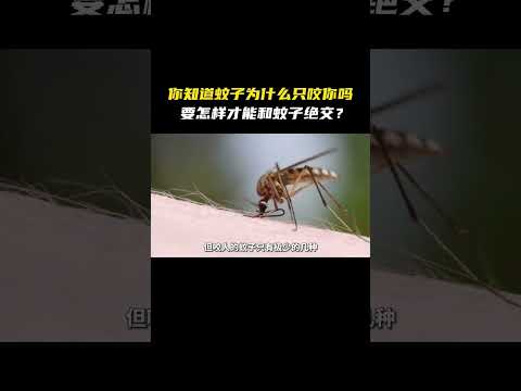 房間有蚊子原因